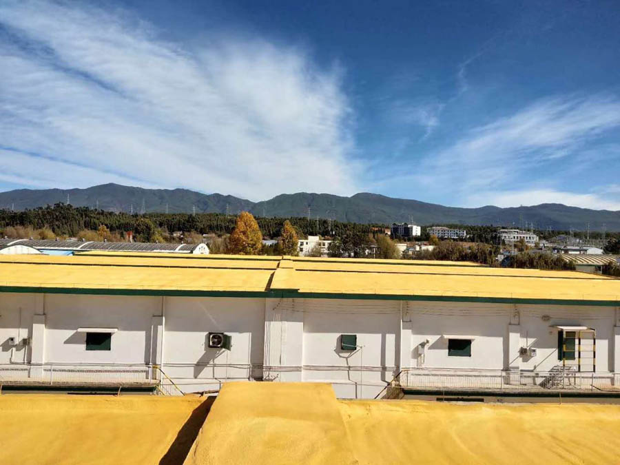 昆明聚脲噴涂的特點